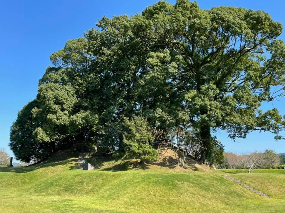隣接している古墳公園
