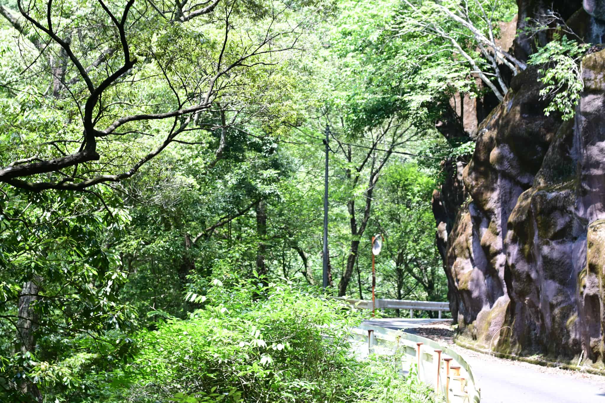 細い山道