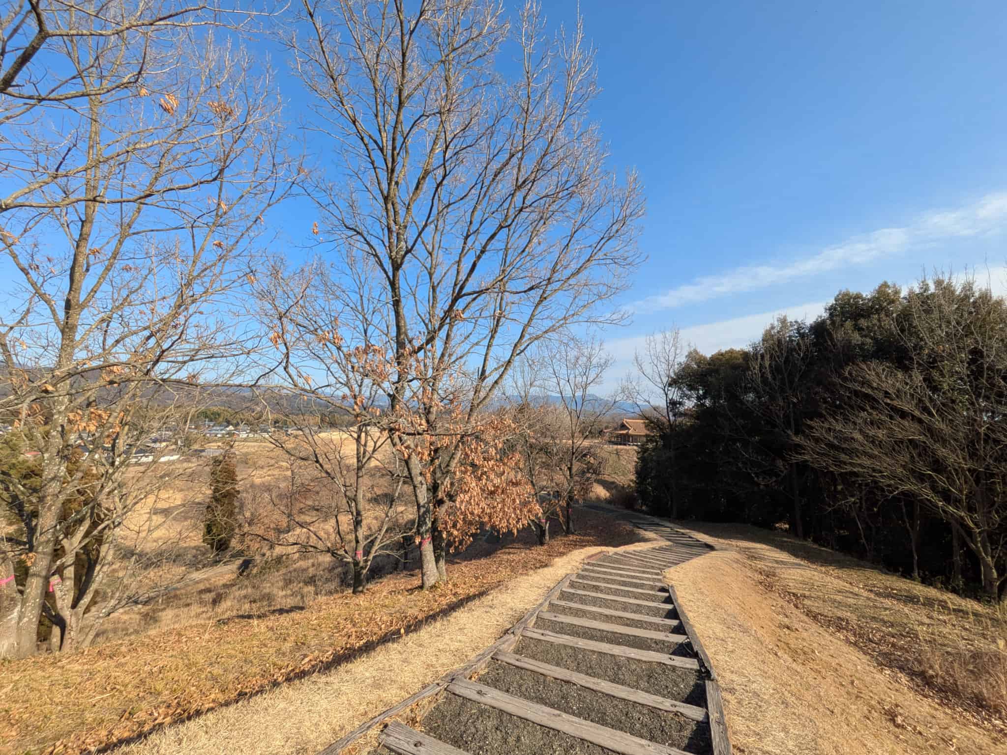 展望所へ続く道