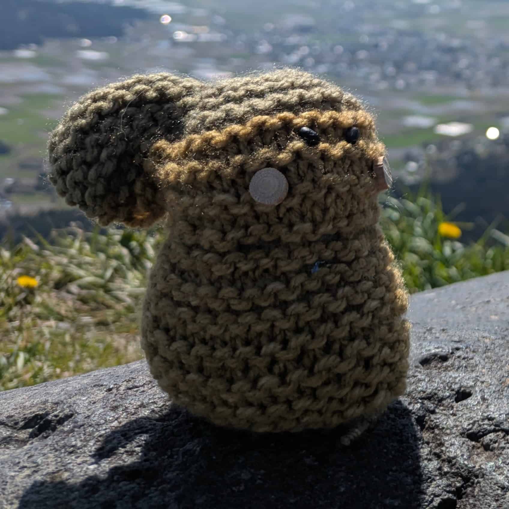 うさぴ