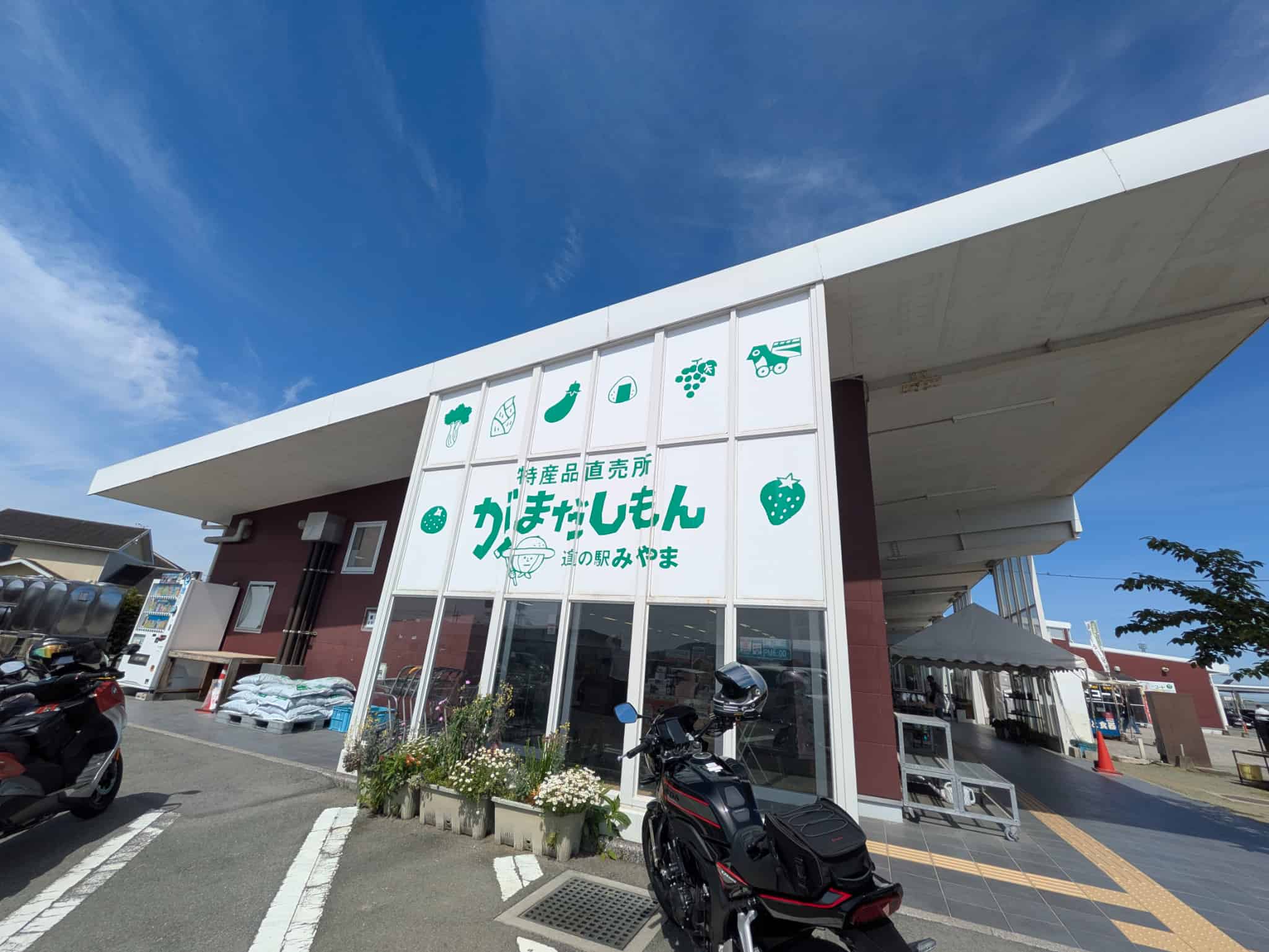 販売所がまだしもん