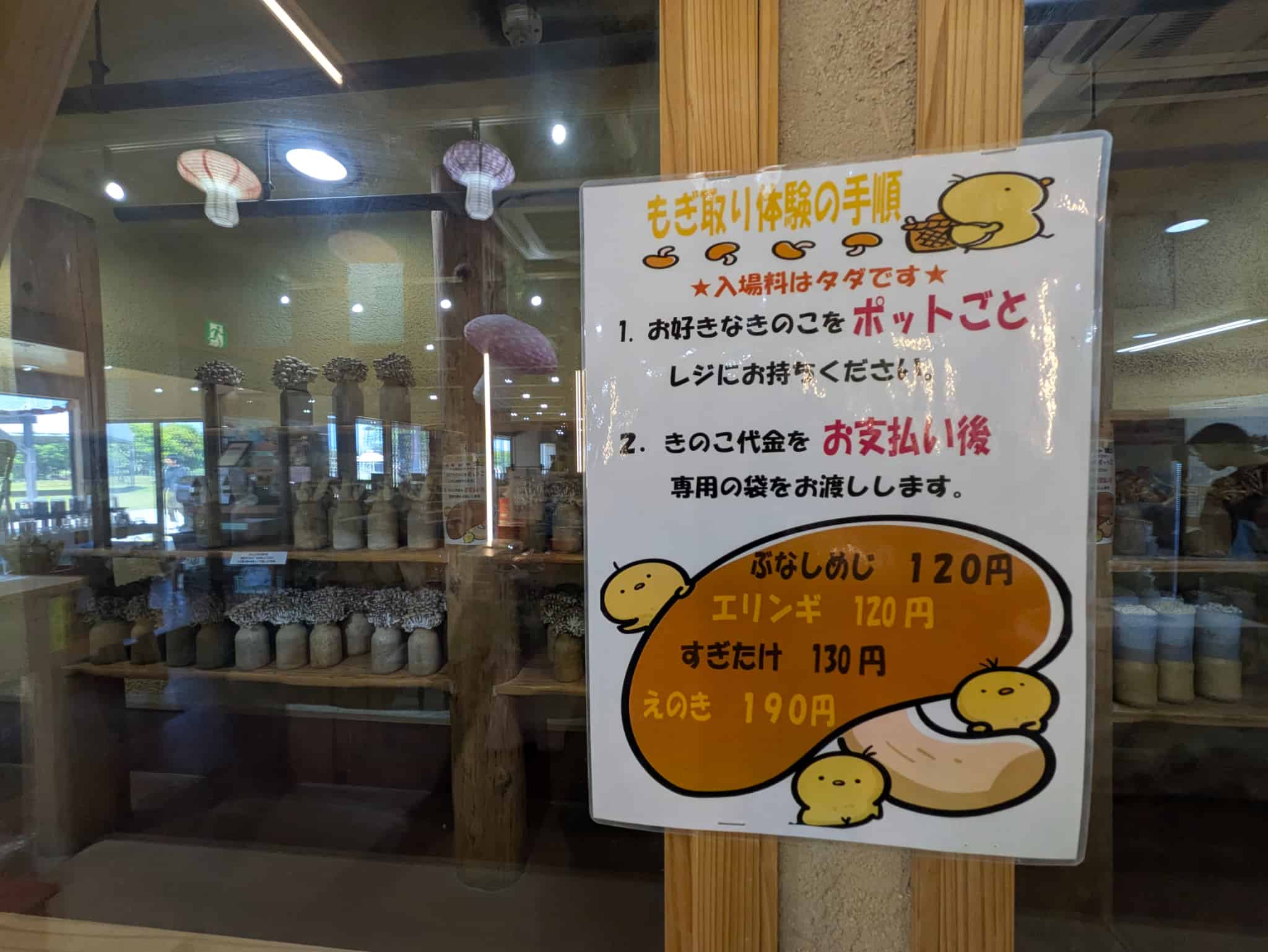いろんな種類のきのこ