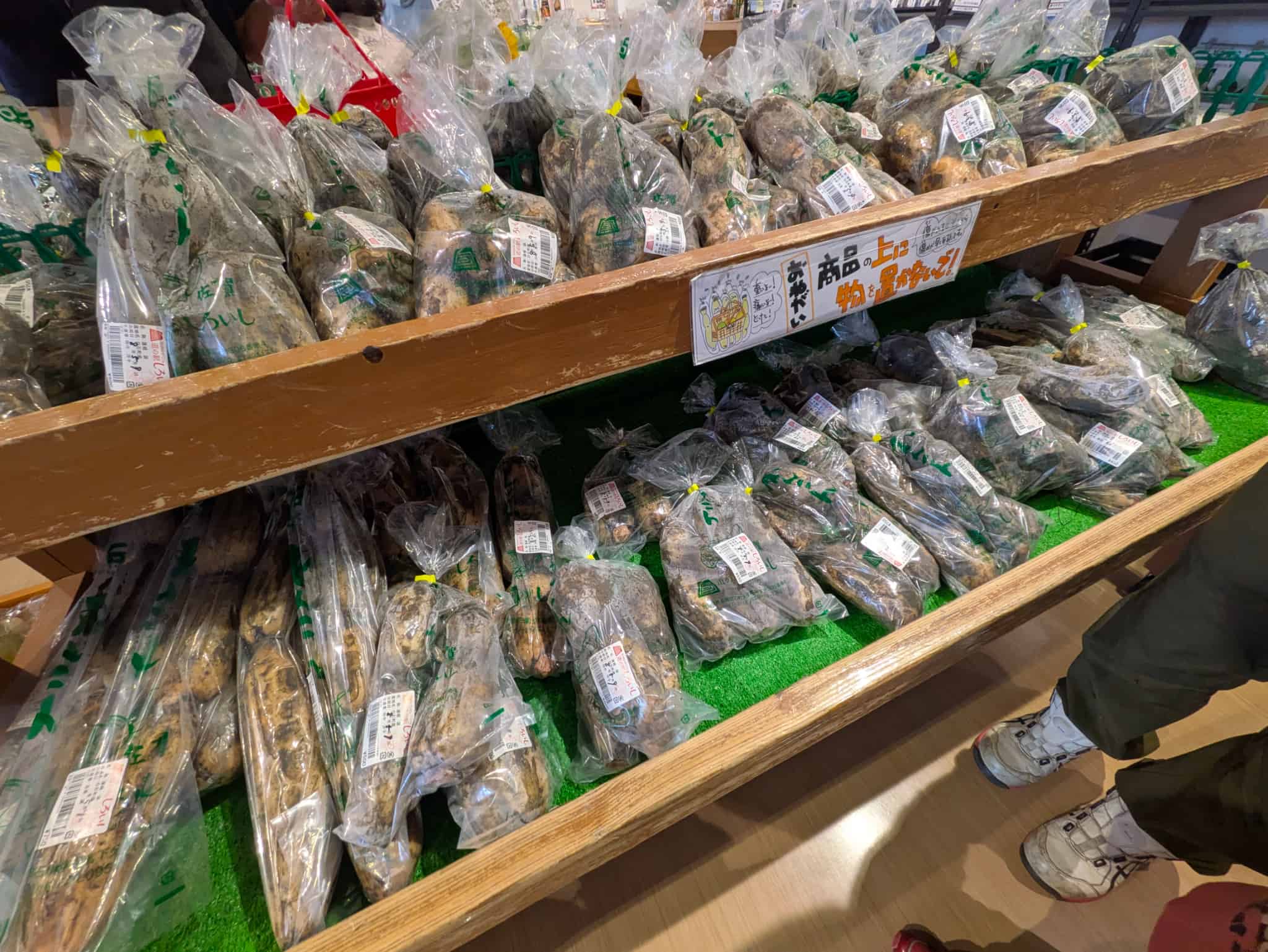 白石名物レンコン