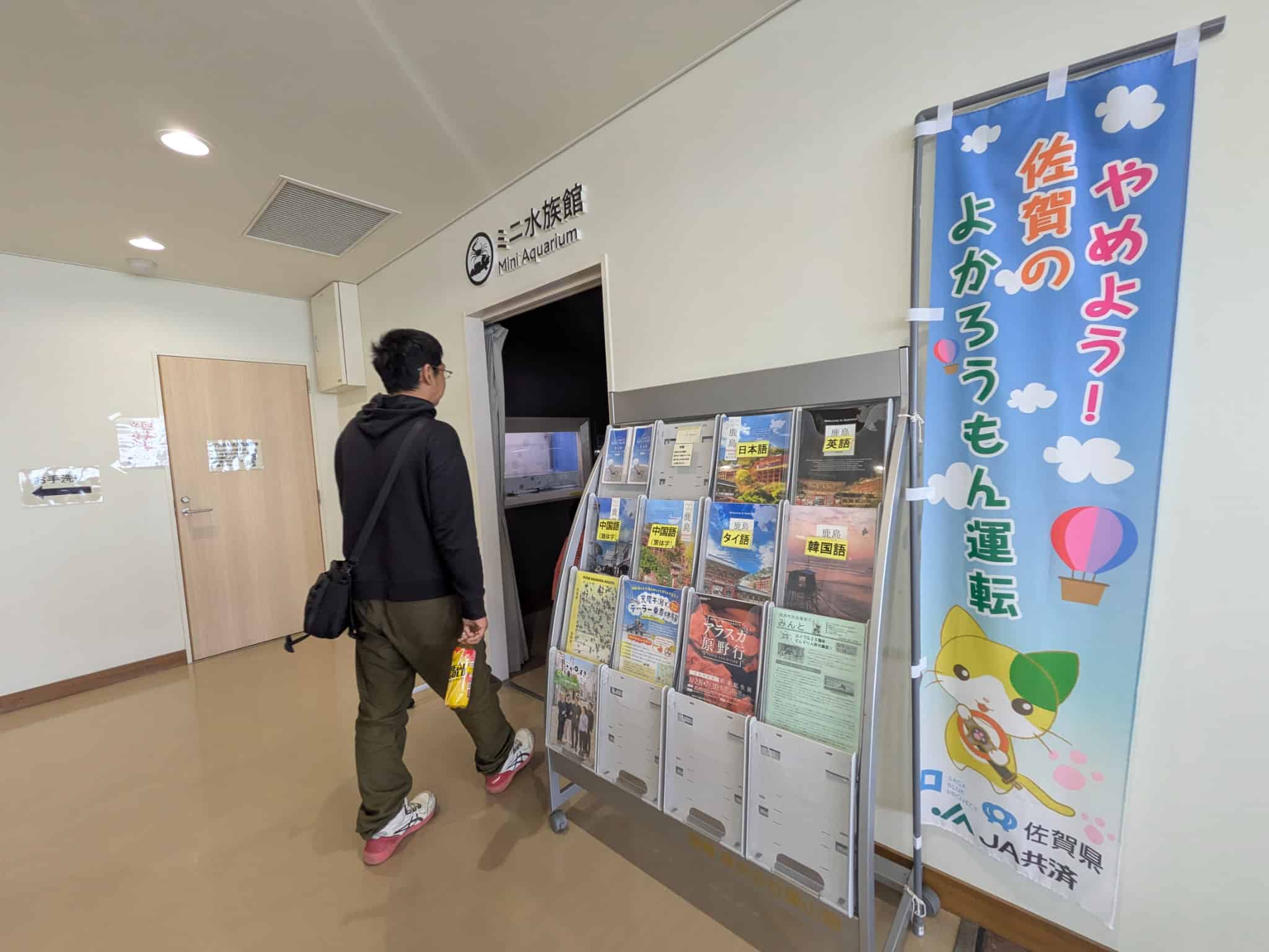 クラゲの展示