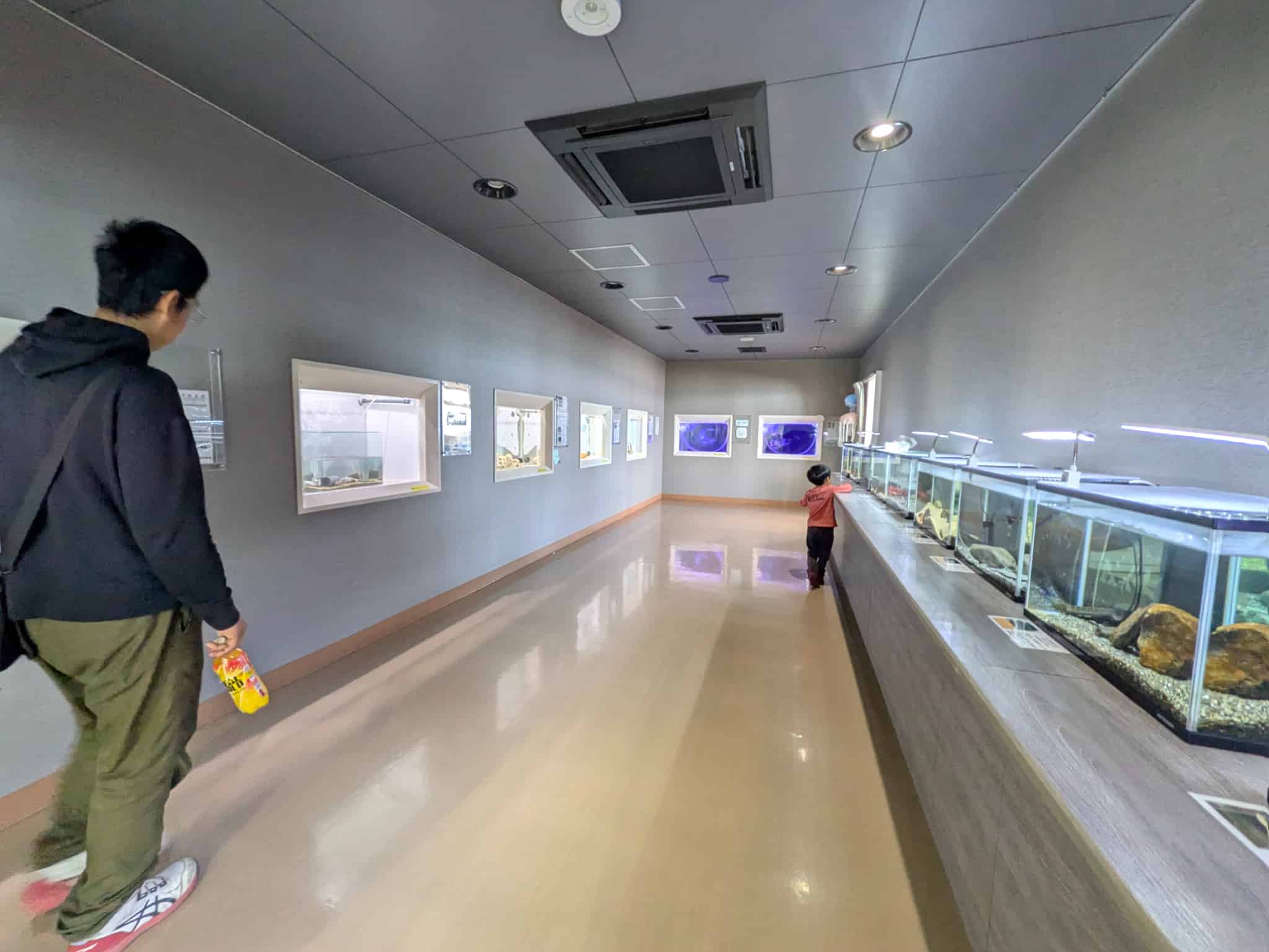 ミニ水族館の展示