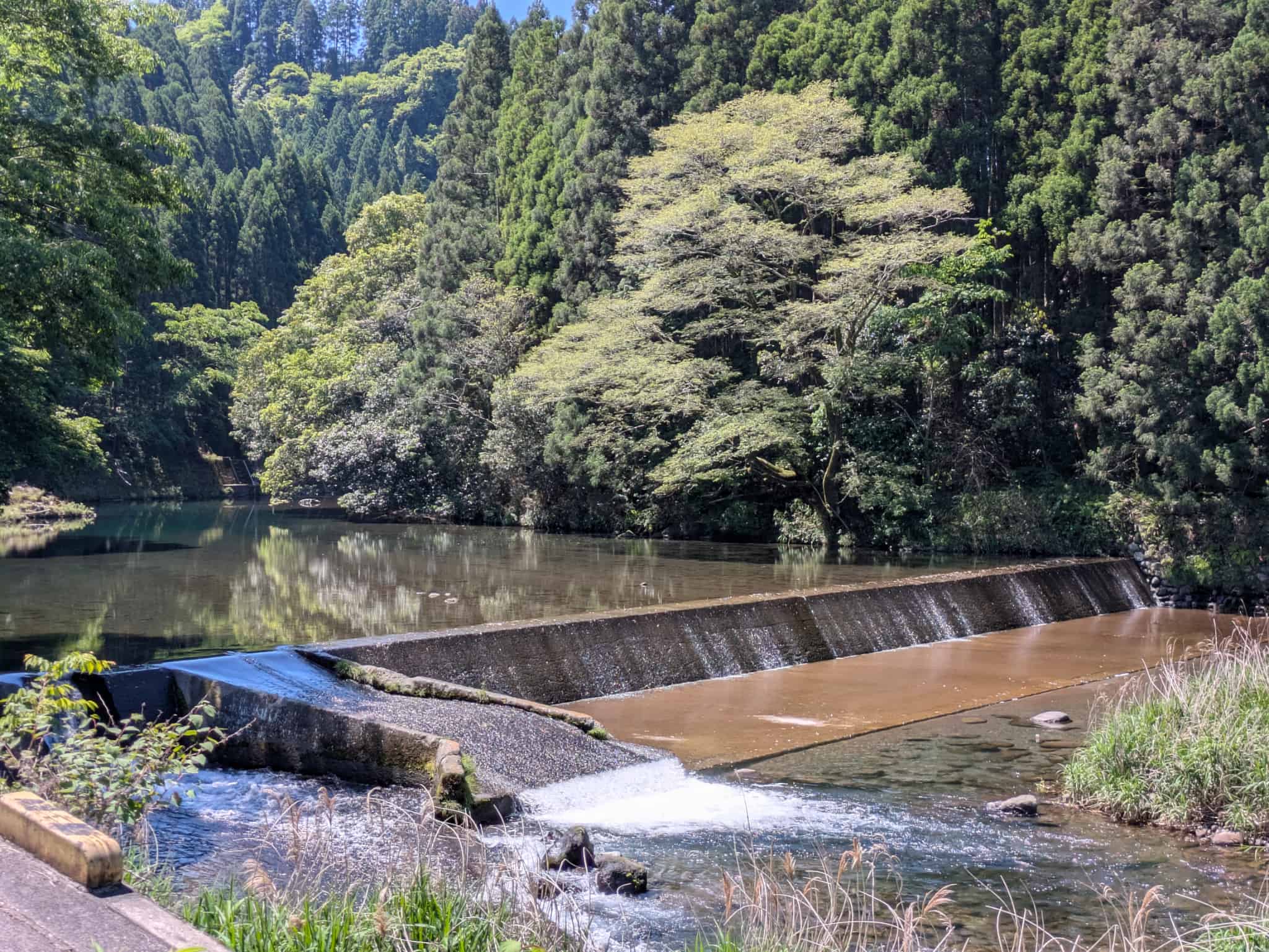 上流の堰
