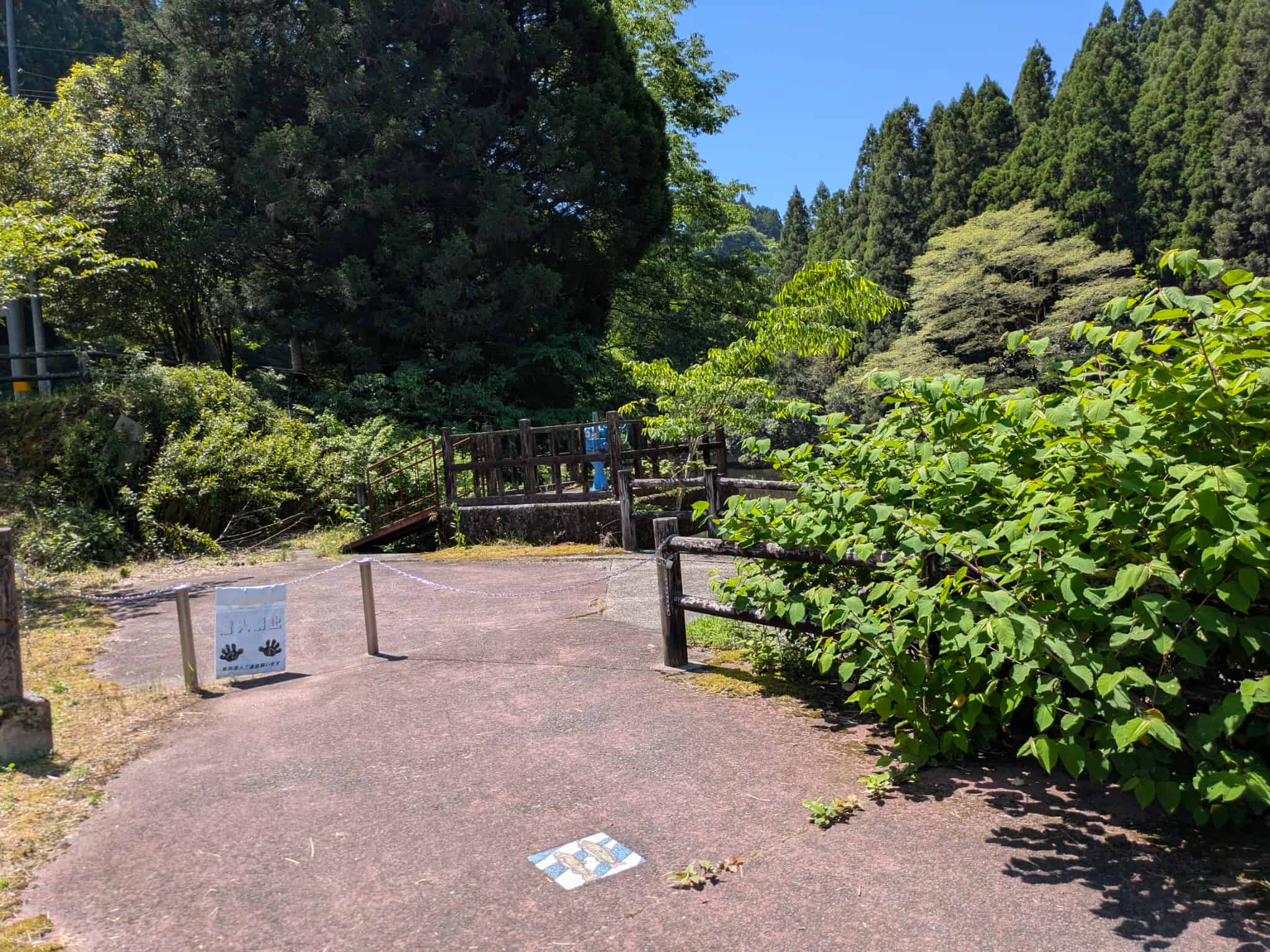 上流の遊歩道
