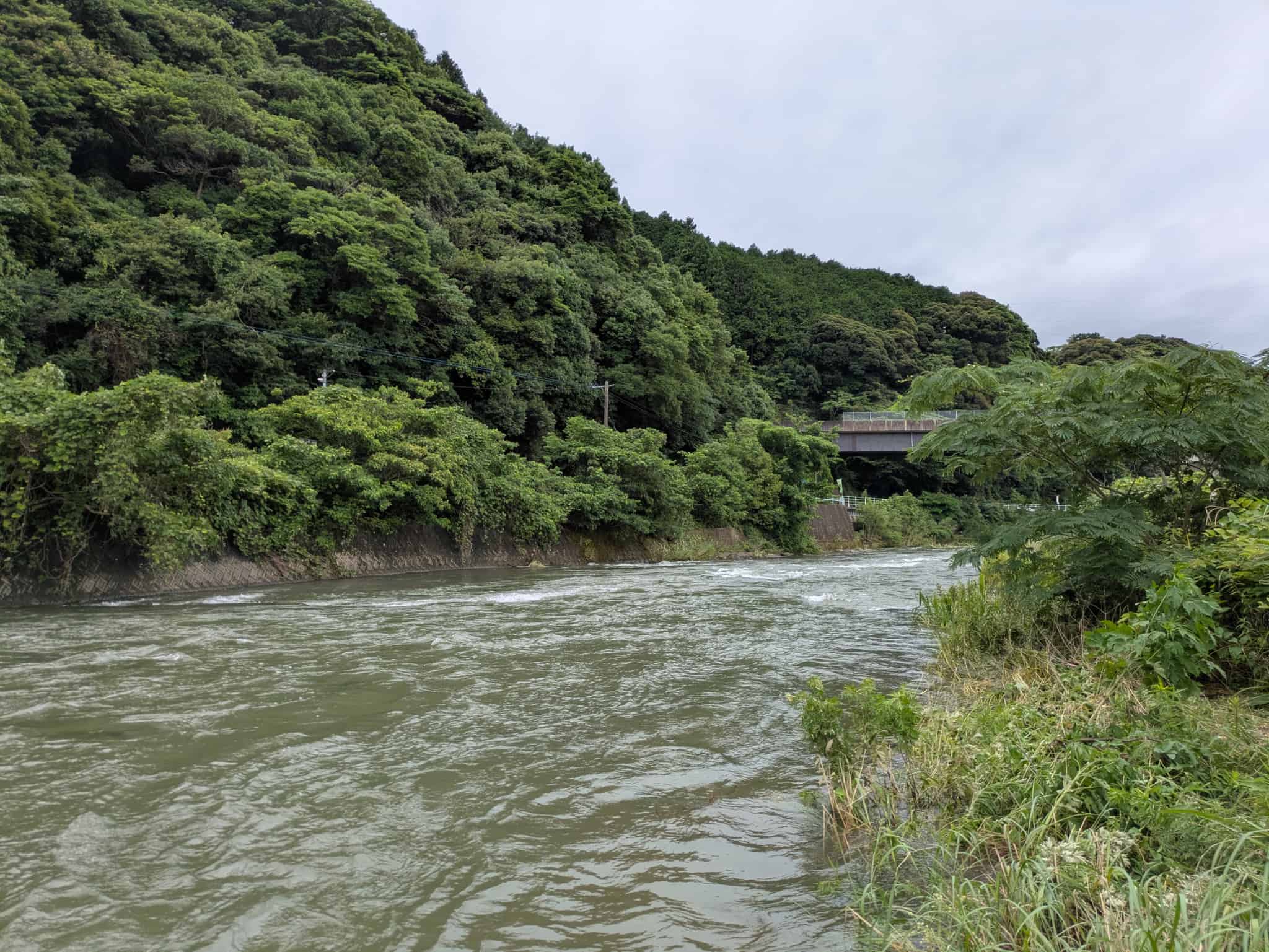 厳木川の様子