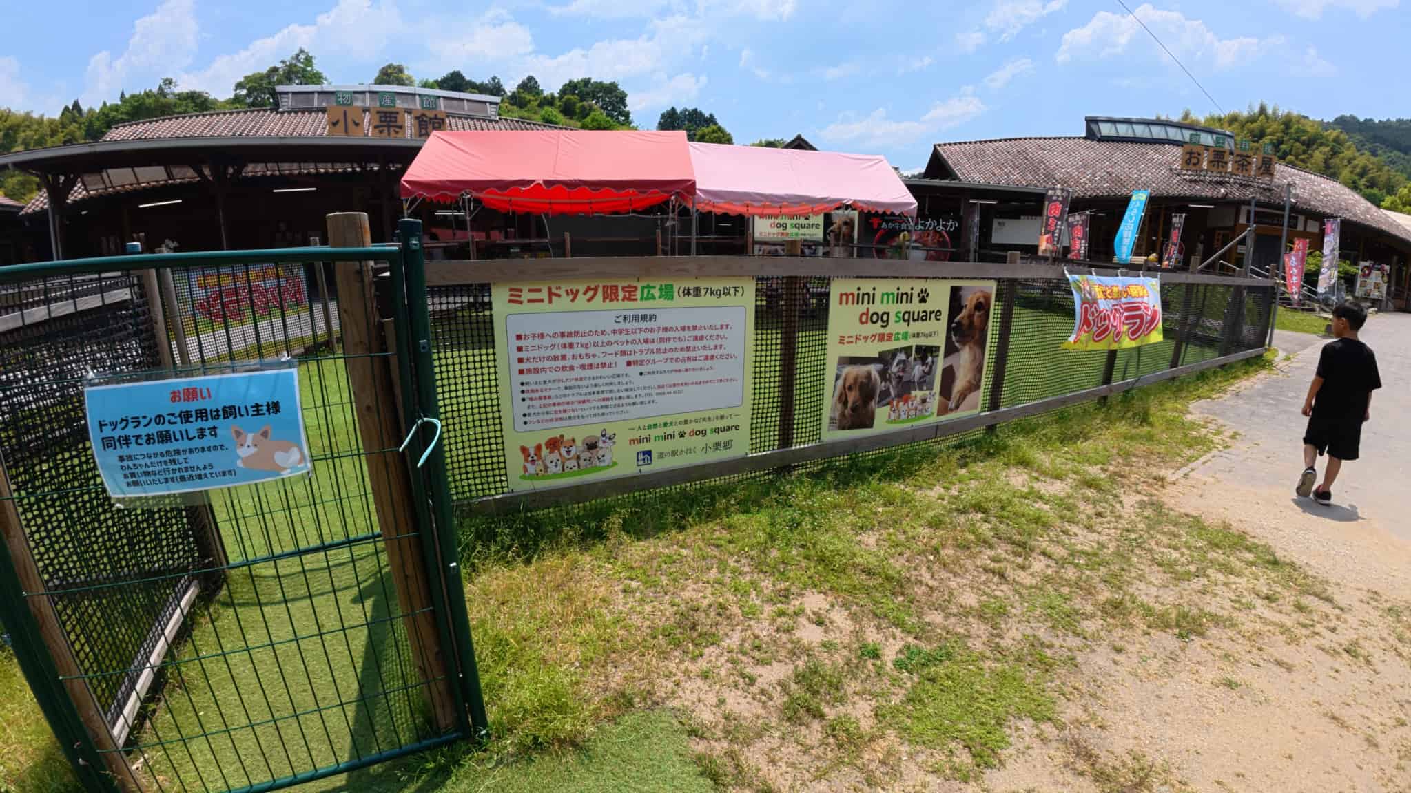 ミニドッグ限定広場 内観
