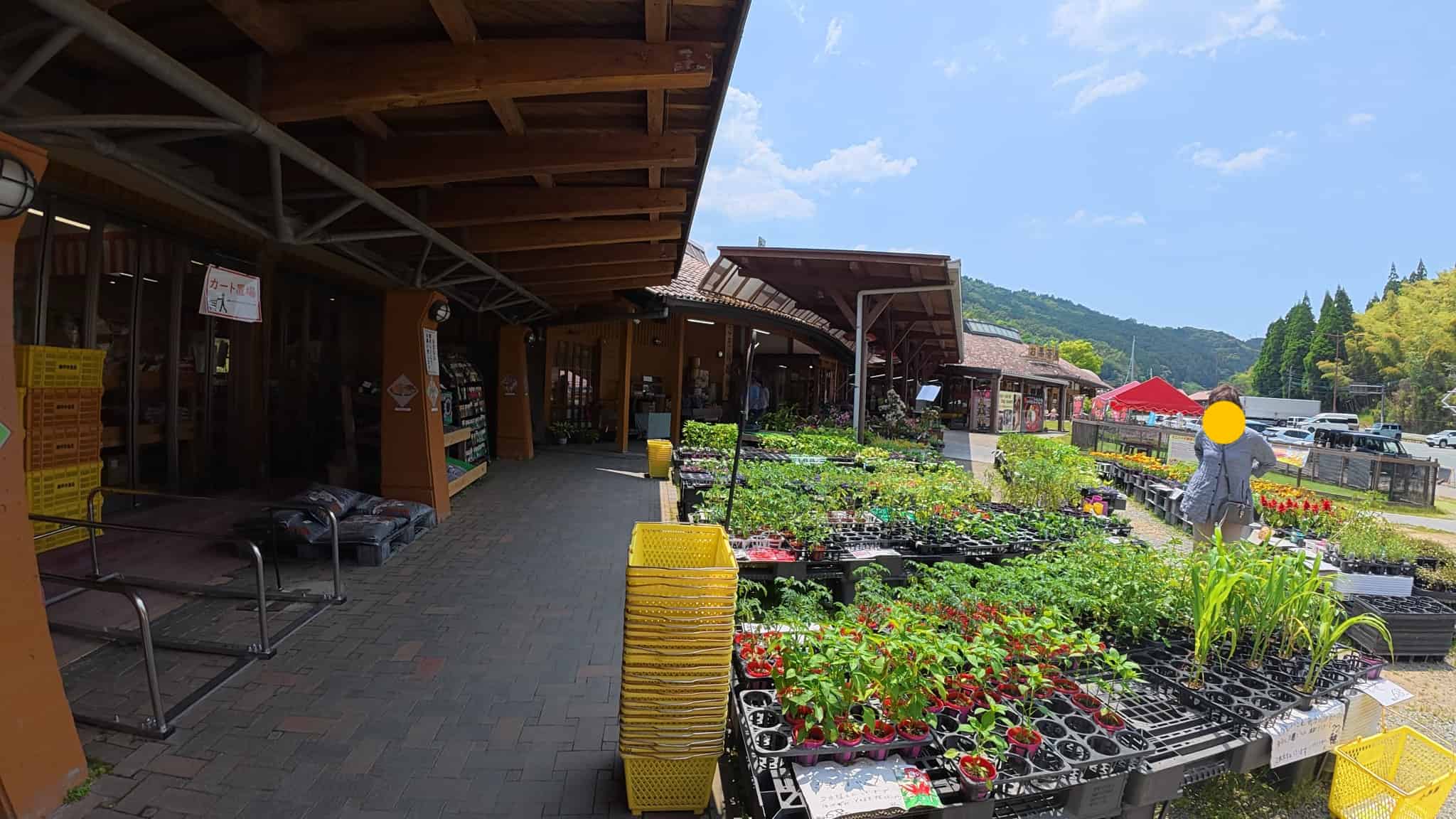 花や苗の販売
