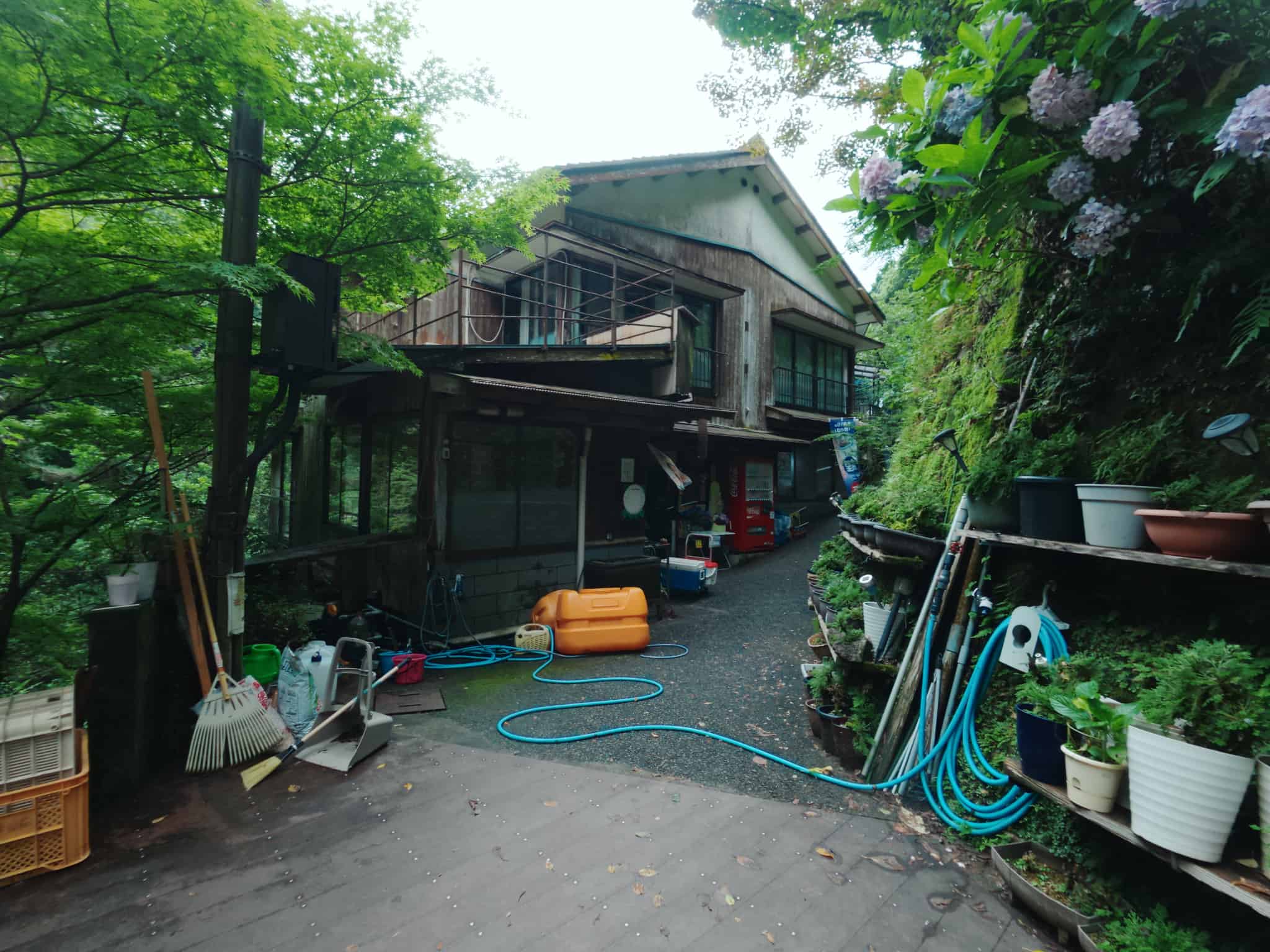 清流荘横の道