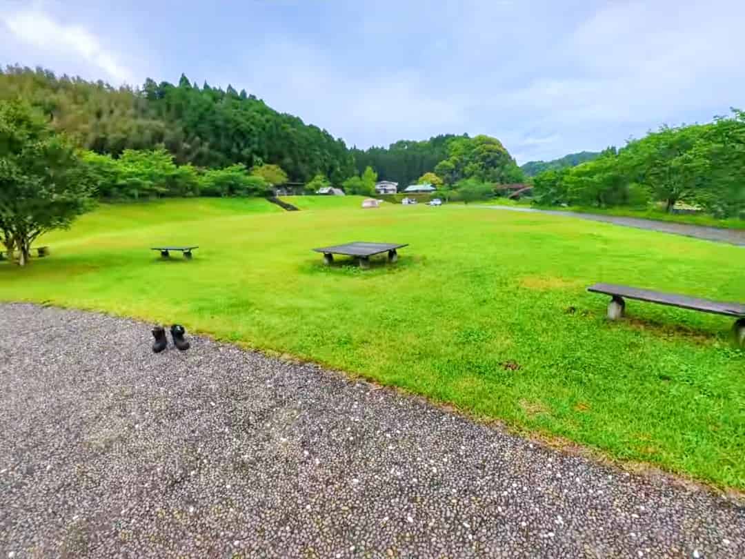 フリーサイトの様子